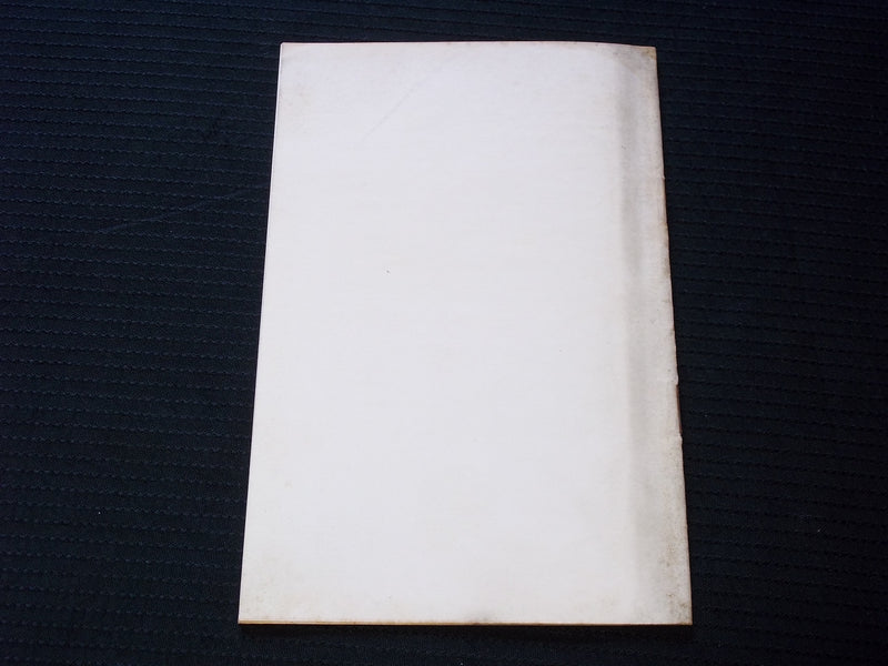 1916 WHY MAIL CENSORSHIP IS VITAL TO BRITAIN SOFTCOVER BOOK BY CECIL - J 7161