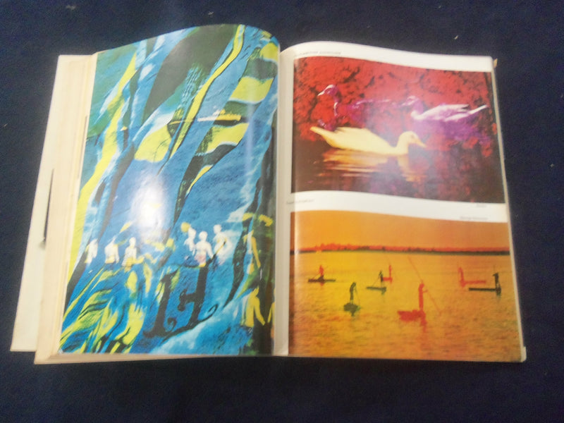 1966 JULY POPULAR PHOTOGRAPHY MAGAZINE - GREAT COVER, PHOTOS & ADS - SP 4713F