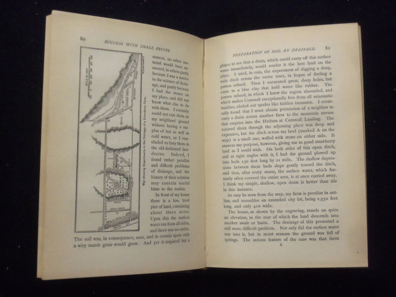1898 SUCCESS WITH SMALL FRUITS HARDCOVER BOOK BY E. P. ROE - KD 8364