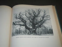 1944 LITERARY ENGLAND BOOK BY RICHARD WILCOX - NICE PHOTOS - KD 3930