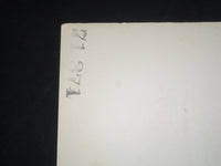 1971 CHANDLER 1/2 SHEET MOVIE POSTER - WARREN OATES, LESLIE CARON - P 382