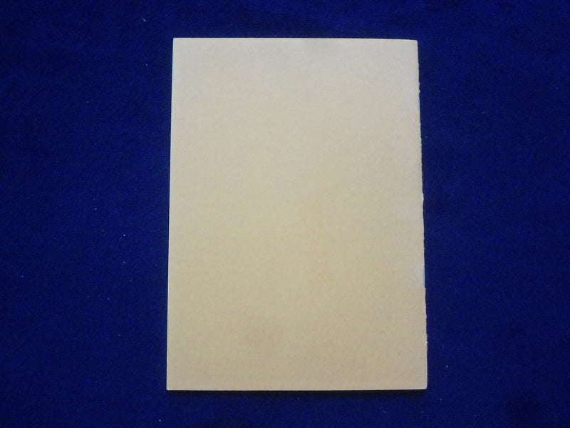 1950 RECIPES FOR CERAMIC PHOTOGRAPHY BY D.M. CAPANA SOFTCOVER BOOK - J 9612