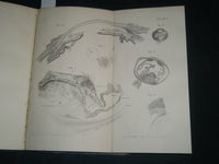 1864-1876 ARCHIV FUR OPHTHALMOLOGIE BOUND VOLUME LOT OF 11 - GERMAN - R 953