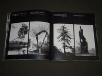 1981 BAUME - MYTHOS, ABBILD SINNBILD BOOK - GERMAN - GREAT PRINTS - I 750