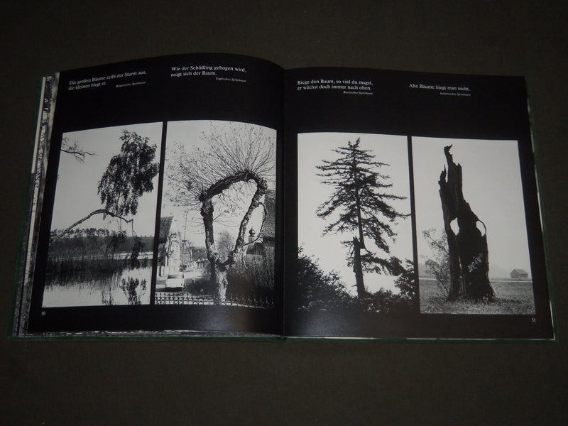 1981 BAUME - MYTHOS, ABBILD SINNBILD BOOK - GERMAN - GREAT PRINTS - I 750
