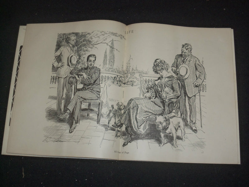 1913 AUGUST 14 LIFE MAGAZINE - SUMMER JOYS - NICE ILLUSTRATED COVER - ST 6490