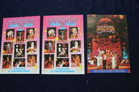 1980'S-1990'S CIRCUS PROGRAMS - LOT OF 39 - O 3641