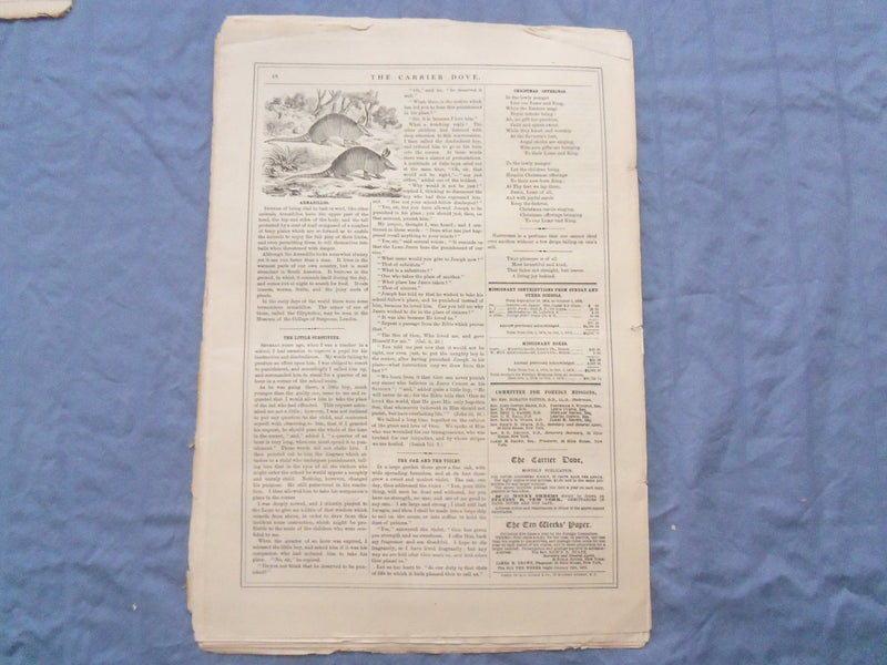 1873-1877 CARRIER DOVE NEWSPAPER -PROTESTAND EPISCOPAL CHURCH-LOT OF 60- NP 8413