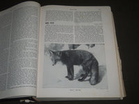 1958 THE HUNTER'S ENCYCLOPEDIA EDITED BY RAYMOND R. CAMP BOOK - I 763
