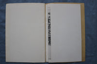 1930'S WATKINS GLEN, NY GUIDE BOOK WITH FOLD-OUT PICTORIAL MAP - K 3145