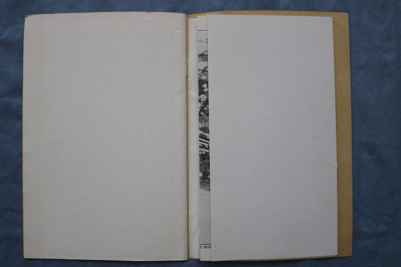 1930'S WATKINS GLEN, NY GUIDE BOOK WITH FOLD-OUT PICTORIAL MAP - K 3145