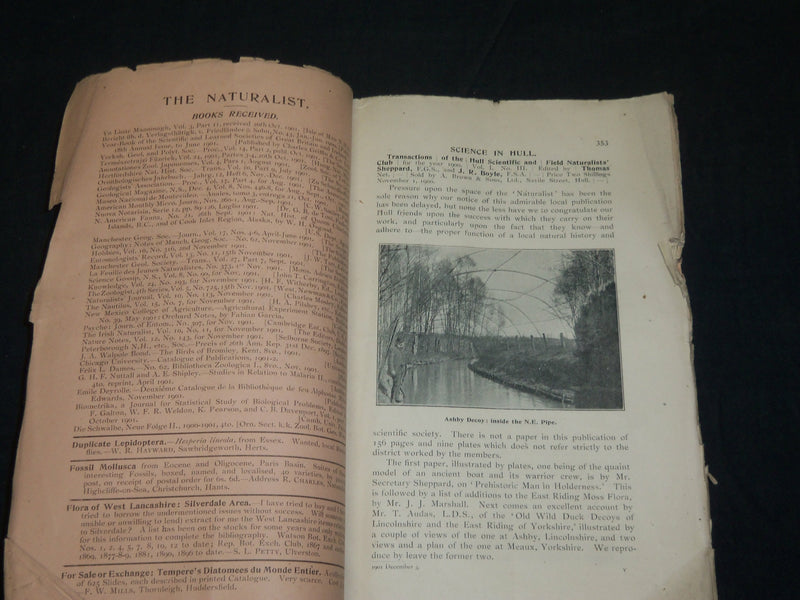 1901 THE NATURALIST MAGAZINE HISTORY FOR NORTH OF ENGLAND LOT OF 12 - WR 106K