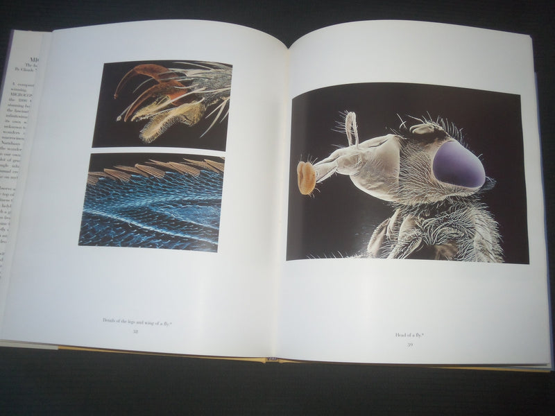 1996 MICROCOSMOS - THE VISTIBLE WORLD OF INSECTS HARDCOVER BOOK BY - R 736P