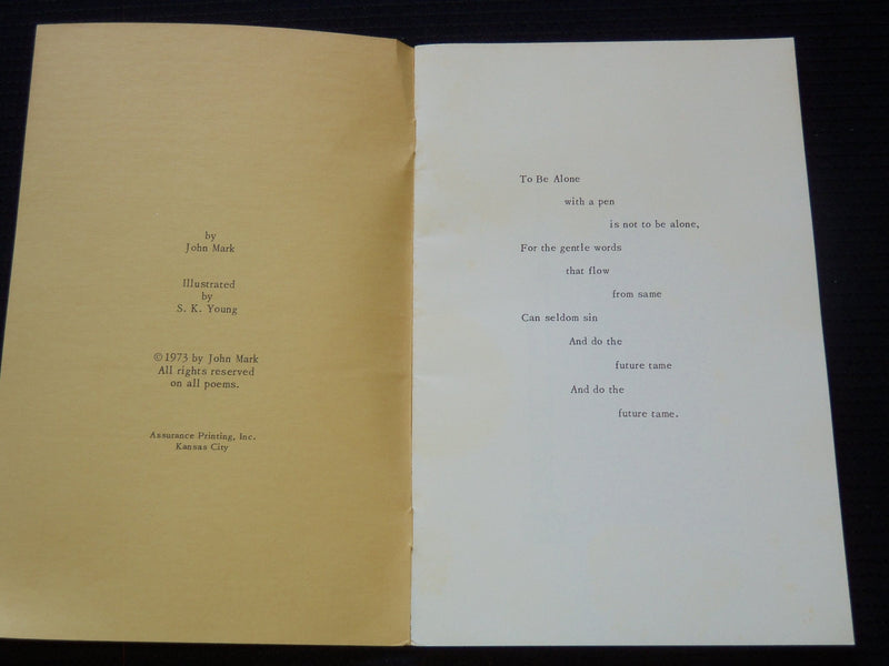 1973 CANDLE INTO DARKNESS BOOK BY JOHN MARK - S. K. YOUNG - J 7314