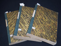 1856 JAN-JUL DIARIO DA CAMARA DOS DEPUTADOS VOLUMES LOT OF 3 - LISBOA - KD 2016K