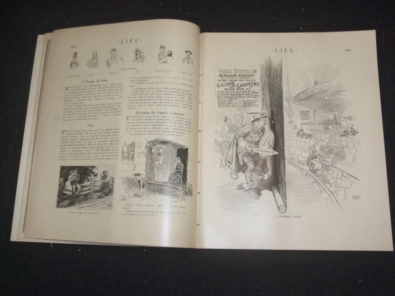 1912 MAY 23 LIFE MAGAZINE - COMMON OR GARDEN NUMBER - HIS DREAMS - ST 6478
