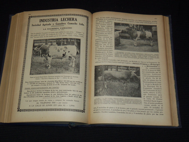 1928-1929 LIMA LA CIUDAD DE LOS VIRREYES - LIBRO PERUANO BOOK - KD 5994