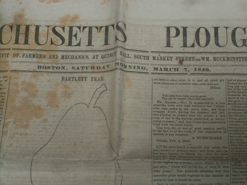 1846 MARCH 7 MASSACHUSETTS PLOUGHMAN NEWSPAPER - BARTLETT PEAR - NP 5120