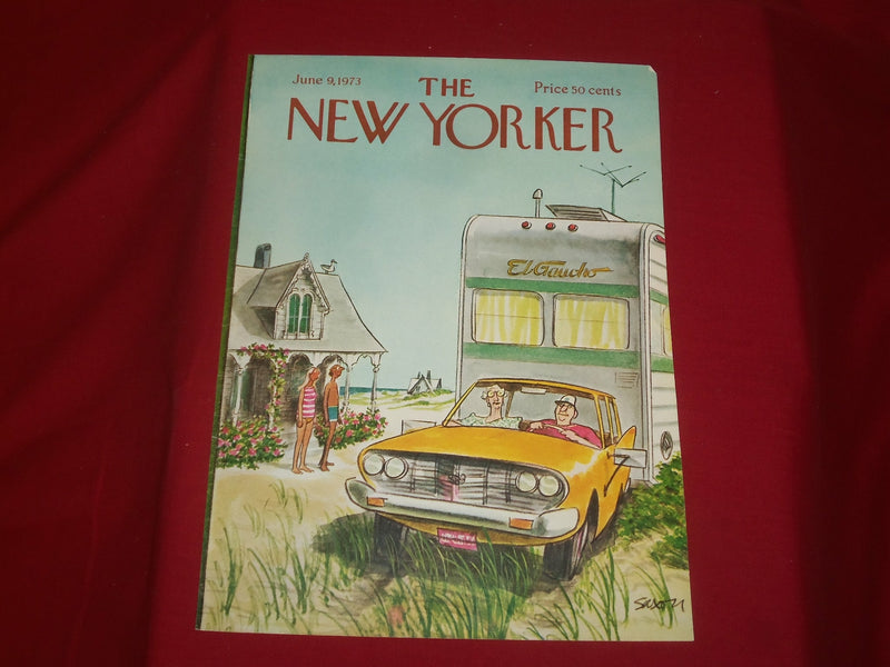 1973 JUNE 9 NEW YORKER MAGAZINE FRONT COVER ONLY - GREAT ART FOR FRAMING