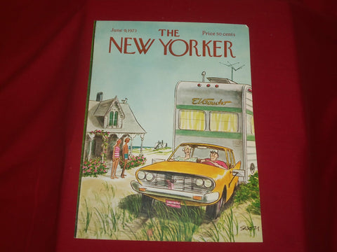 1973 JUNE 9 NEW YORKER MAGAZINE FRONT COVER ONLY - GREAT ART FOR FRAMING