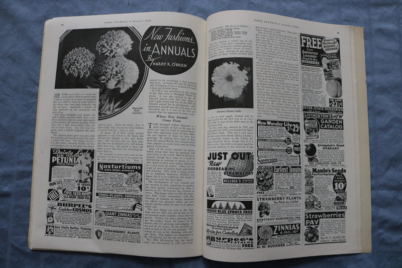 1936 JANUARY FARM JOURNAL MAGAZINE - SHORT-STAKE MAN - ST 5510V