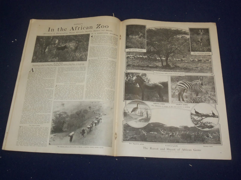 1909 NOVEMBER 6 COLLIER'S MAGAZINE - HERO WORSHIP - ST 6687