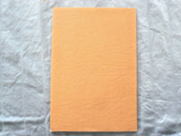 1965 THE JOURNAL OF PSYCHOANALYSIS IN GROUPS SOFTCOVER BOOK BY - K 300