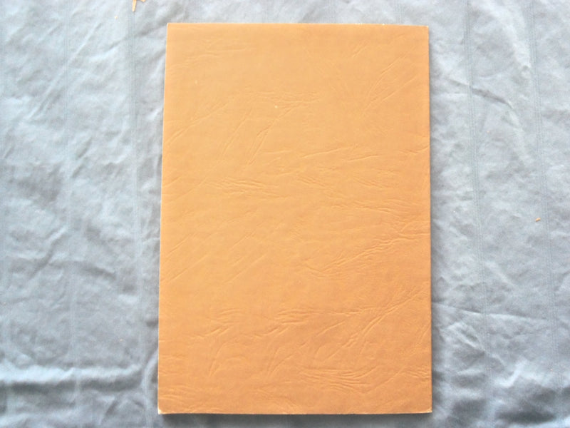1965 THE JOURNAL OF PSYCHOANALYSIS IN GROUPS SOFTCOVER BOOK BY - K 300