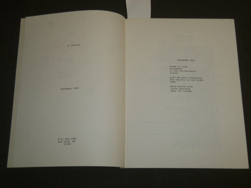 1984 PUBLIC JOY - FREE POEMS INSCRIBED BY BRU DYE - SOFTCOVER BOOK - B 6552