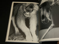 1983 NATURAL SELECTION SOFTCOVER BOOK W/ PHOTOGRAPHS BY JEREMIAH DINE - R 713C