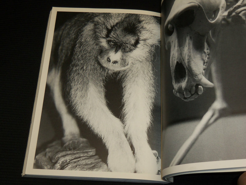 1983 NATURAL SELECTION SOFTCOVER BOOK W/ PHOTOGRAPHS BY JEREMIAH DINE - R 713C