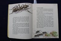 1950'S BIRDS & INSECT PARADE SOFTCOVER BOOKS BY BERTHA PARKER - LOT OF 2- K 1376