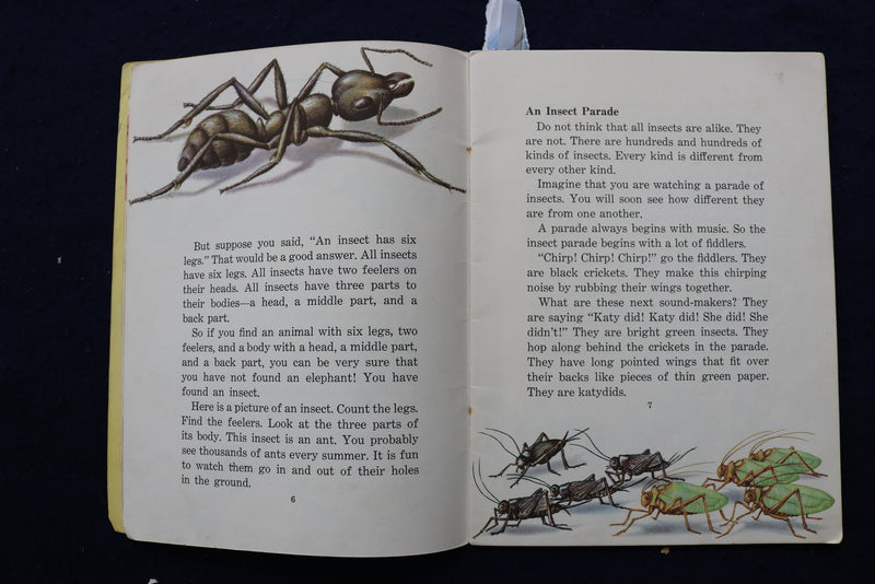 1950'S BIRDS & INSECT PARADE SOFTCOVER BOOKS BY BERTHA PARKER - LOT OF 2- K 1376