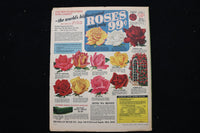 1968 FEB 25 SUNDAY NY NEWS COLOROTO MAGAZINE - JOEY HEATHERTON COVER - E 25492