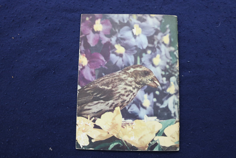 1950'S BIRDS & INSECT PARADE SOFTCOVER BOOKS BY BERTHA PARKER - LOT OF 2- K 1376