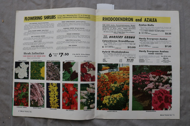 1959 MUSSER FOREST INC. CATALOG - INDIANA, PENNSYLVANIA - SOFTCOVER - K 3462