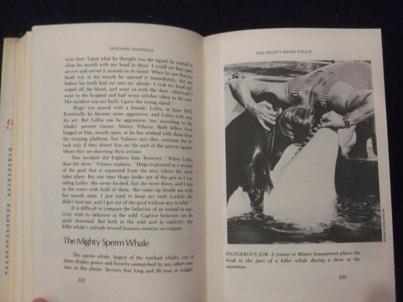 1973 KILLERS OF THE SEAS HARDCOVER BOOK BY EDWARD R. RICCIUTI - KD 8278
