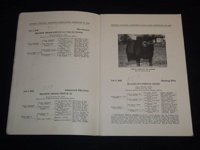 1952 CENTRAL ILLINOIS ANNUAL SPRING BULL SALE CATALOG LOT OF 2 - J 9092