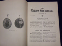 1902-1905 THE CANADIAN HORTICULTURIST MAGAZINE LOT OF 5 - NICE ILLUS. - II 6150