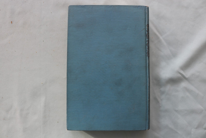 1885 THE YOUNG WILD FLOWERS HARDCOVER BOOK BY HARRY CASTLEMON - KD 9699