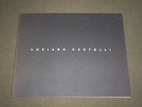 1990 LUCIANO CASTELLI NEW PAINTINGS RICHARD GRAY GALLERY CATALOG - KD 5059