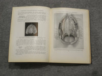 1923 CONDUCTION AND INFILTRATION ANESTHESIA BY MENDEL NEVIN - KD 2758Q