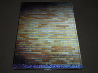 1999 PEGASUS CHRISTIAN BROTHERS ACADEMY YEARBOOK - LINCROFT NEW JERSEY - YB 1046