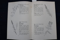 1965 COMMON WILD FLOWERS OF NEW YORK STATE SOFTCOVER BOOK - K 996