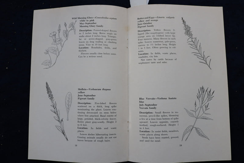 1965 COMMON WILD FLOWERS OF NEW YORK STATE SOFTCOVER BOOK - K 996
