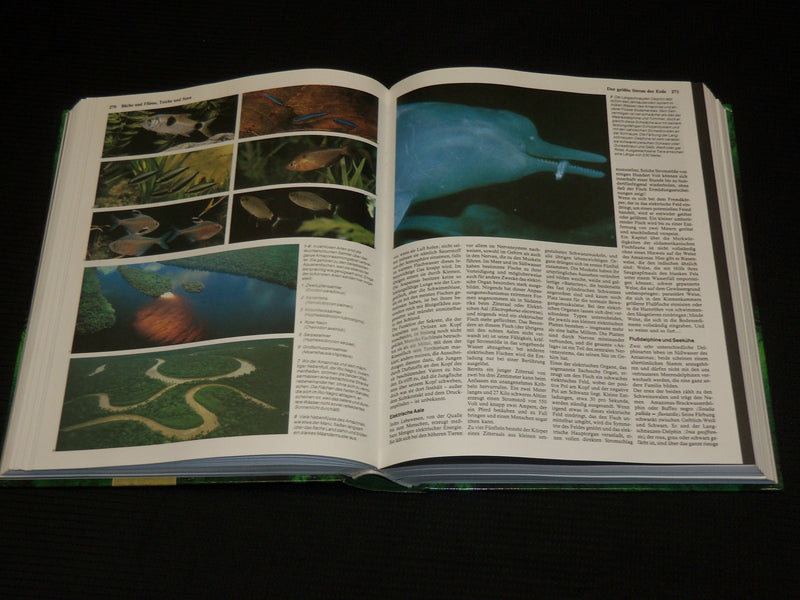 1993 DASS GROBE BUCH DER TIERWELT HARDCOVER BOOK BY HEINZ SIELMANN - R 714R