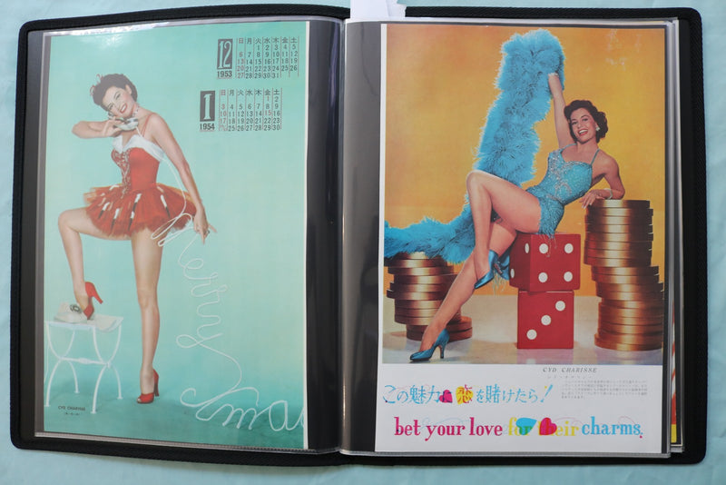 HOLLYWOOD STARS SCRAPBOOK - JANET LEIGH - ANNE BAXTER - KIM NOVAK - #51