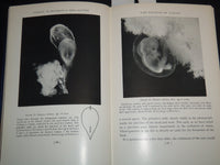 1949 VISION ITS DEVELOPMENT IN INFANT AND CHILD BOOK BY ARNOLD GESELL - KD 5980U