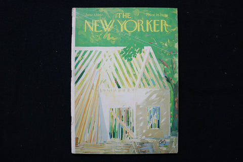 1967 JUNE 3 NEW YORKER MAGAZINE - GREAT ILLUSTRATED COVER - NY 2734