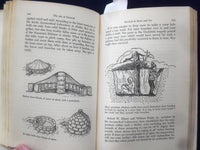 1965 THE ART OF SURVIVAL HARDCOVER BOOK BY CORD CHRISTIAN TROEBST - KD 8919